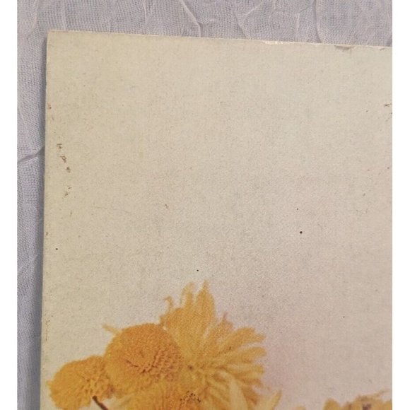 Hormel Hambook Cook Book 81 Recipes The Cure Vtg Foodie Retro Advertisement Pork - Picture 7 of 10